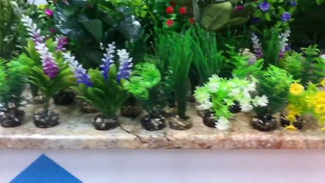 Искусственные растения в салоне аквариумов AquaHouses.ru смотреть онлайн