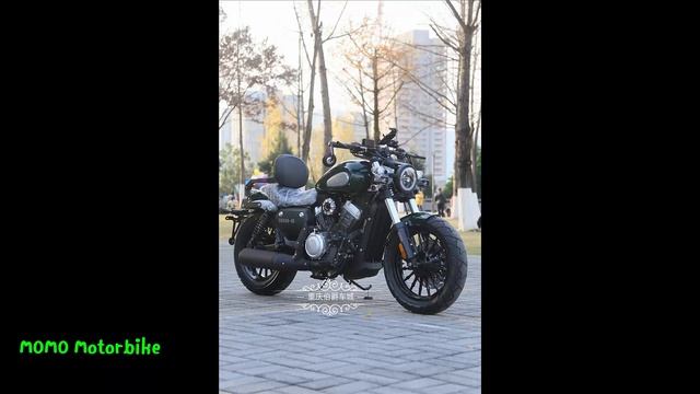 Benda Chinchilla 300