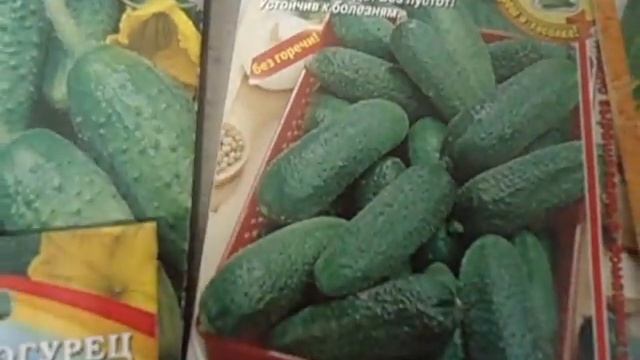 КАКИЕ СОРТА ОГУРЦОВ ВЫБРАТЬ ДЛЯ ТЕПЛИЦЫ, А КАКИЕ ДЛЯ ОТКРЫТОГО ГРУНТА Видеоурок Ольги Черновой 6 м смотреть онлайн