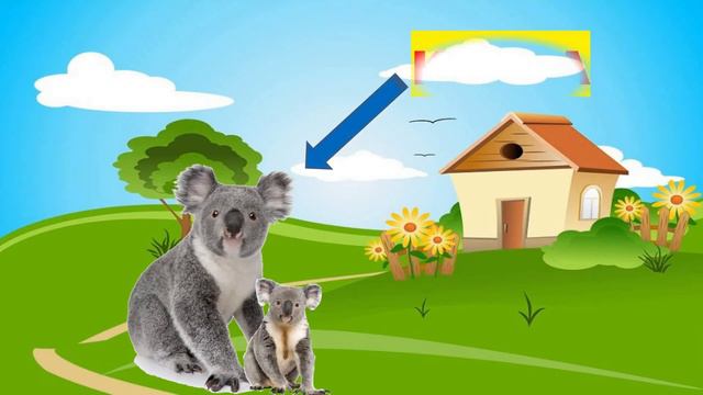 50+ Animals Names And Their Babies Names  | Animals & Babies Names HD | Animals & Young Ones