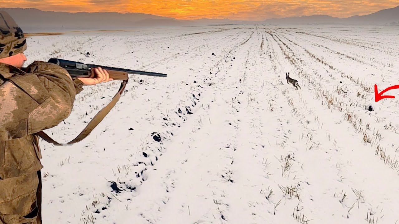 СТОЛЬКО ЗАЙЦЕВ Я ЕЩЕ НЕ ВИДЕЛ. ПОДНЯЛ СРАЗУ ДВОИХ. Охота на зайца 2023-2024. смотреть онлайн