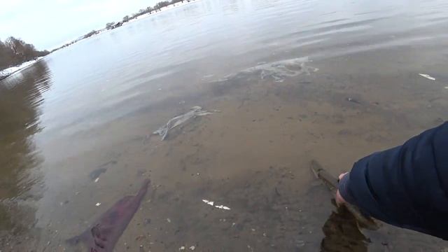 Зимний спиннинг на Москве реке. Ловля щуки на китайский воблер зимой.\Рыбалка2022 смотреть онлайн