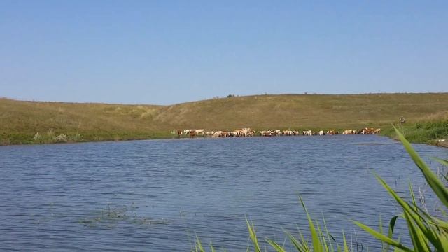 Я САМА. Рыбалка. Тамбов. смотреть онлайн