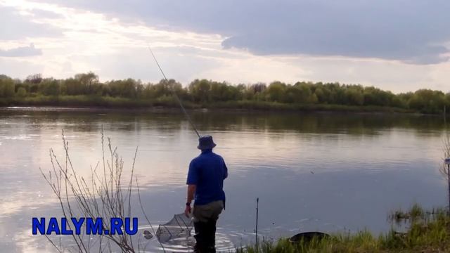 Рыбалка на Оке под Касимовом (болонская удочка, начало мая 2019) смотреть онлайн