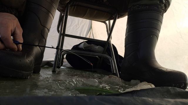 Обалденный клев живца для хищника!!!! смотреть онлайн