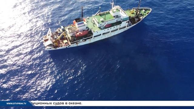 Морское собрание. Почём навага? смотреть онлайн