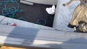 Windboat 4.0 evo Консольная версия. Тюнинг