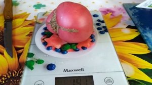 Томат Бычье сердце розовое