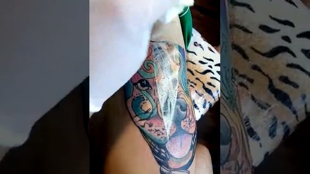 Tattoo Pitbull ? смотреть онлайн