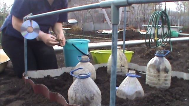 Vlog/ Дача/Сажаю цветы, огурцы, лук смотреть онлайн