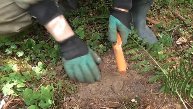 Эту находку надо защищать!! смотреть онлайн