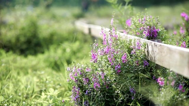 Пустили бездомную старушку переночевать, но они даже не ожидали, что она сделает… смотреть онлайн