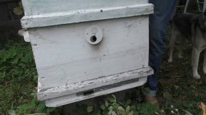 ЛЕТКИ.  КАКИЕ И НАСКОЛЬКО ОТКРЫВАТЬ ЗИМОЙ.
