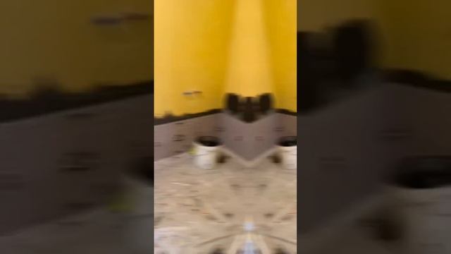 ❗️5 правил укладки плитки в санузле смотреть онлайн