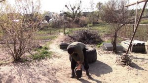 37 ЛУЧШИХ УПРАЖНЕНИЙ С ГИРЕЙ