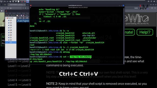 Bandit - 23 | Programmer needs foo смотреть онлайн