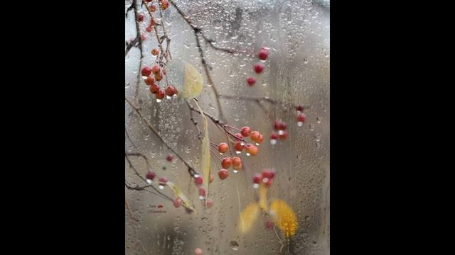 "Дождливое скерцо" (Е. Вишнёвая) смотреть онлайн