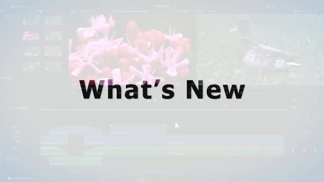 DaVinci Resolve 18: The Best Free Video Editor смотреть онлайн