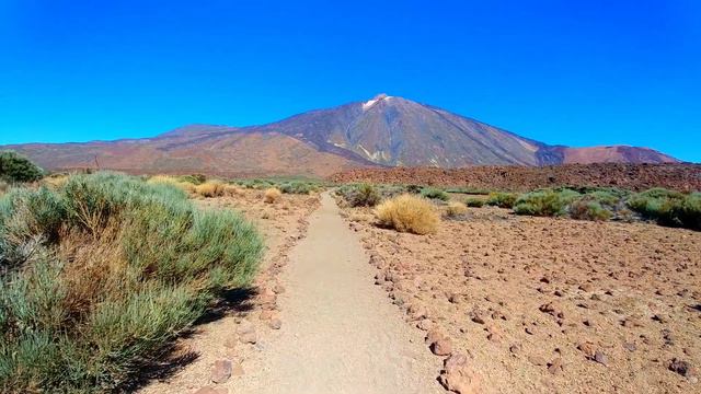 Легкая и приятная музыка для души ! НОВИНКА ! #clearsound #чистыйзвук #easylistening смотреть онлайн