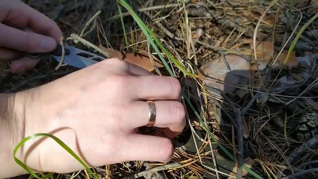 Грибной сезон Кременчуг. 08.10.22. Белые, Польские, Маслята смотреть онлайн