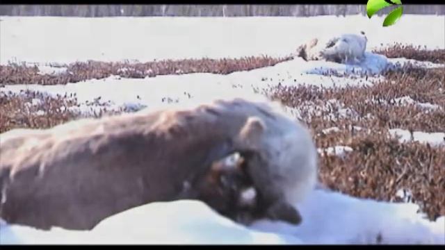 Граница смотреть онлайн