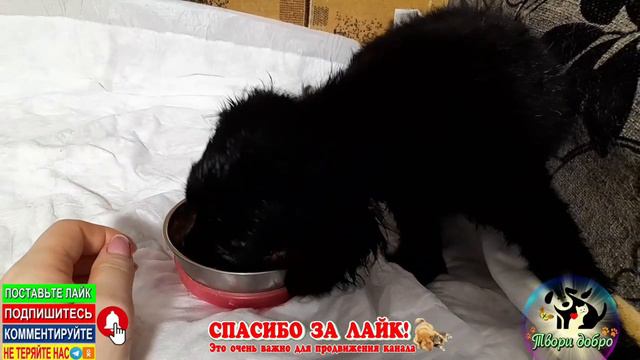 Выкинули в мороз к магазину смотреть онлайн