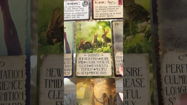 Twinflame runner chaser dynamic light language series: 1. Trusting the process and divine timing ? смотреть онлайн