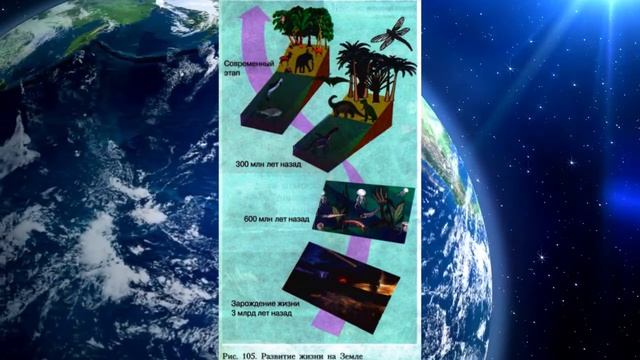 География 5-6кл. §48 "Биосфера - Земная оболочка" смотреть онлайн