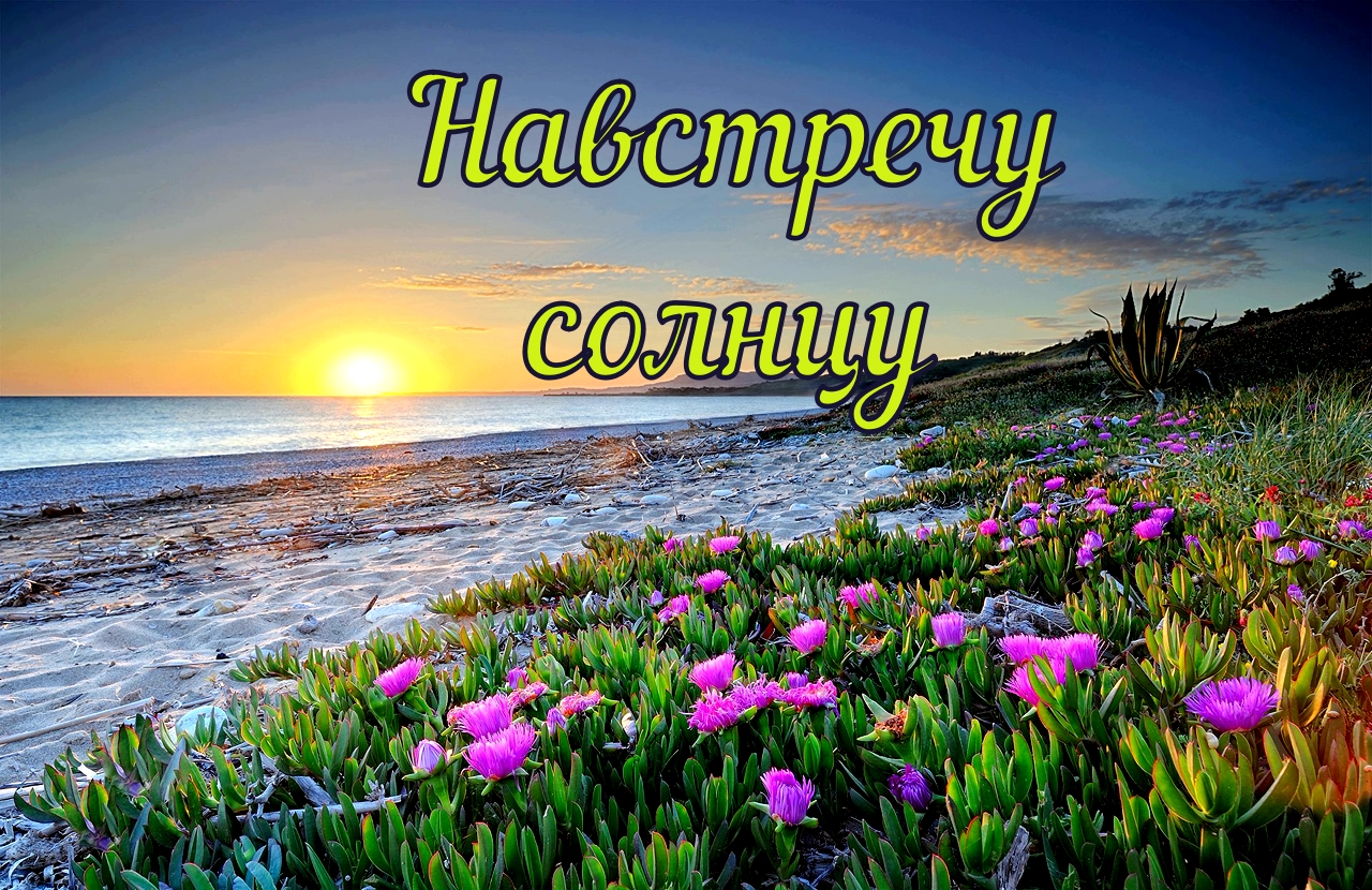 Навстречу солнцу | авторская песня | Максим Кинжал 2024 г. смотреть онлайн