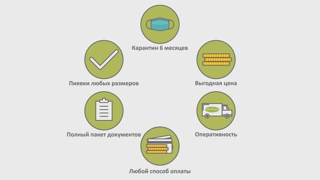 Заказать видео для сайта - Гирудофарм. Анимация и инфографика на заказ. смотреть онлайн