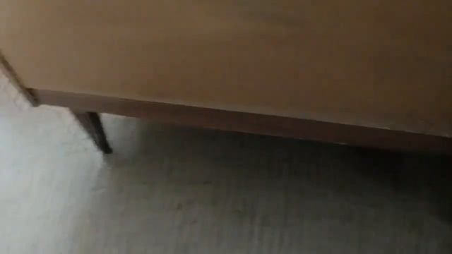 Вольер для белки Жорика готов ! смотреть онлайн