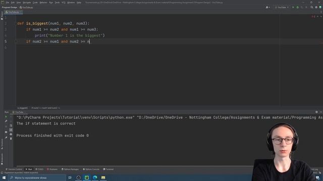 Python Basics - If Statements in Functions #18 смотреть онлайн