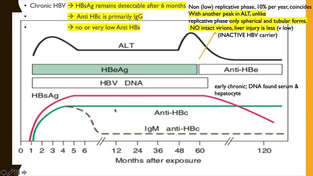 hepatitis E lecture+revision смотреть онлайн