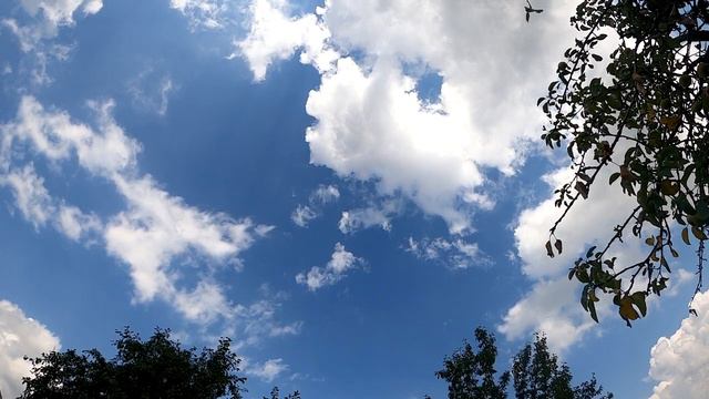 Смотрите на всё с Любовью и позволяйте всему быть смотреть онлайн