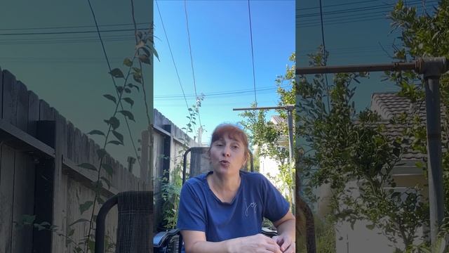 Из -за этого сразу страдает зрение смотреть онлайн