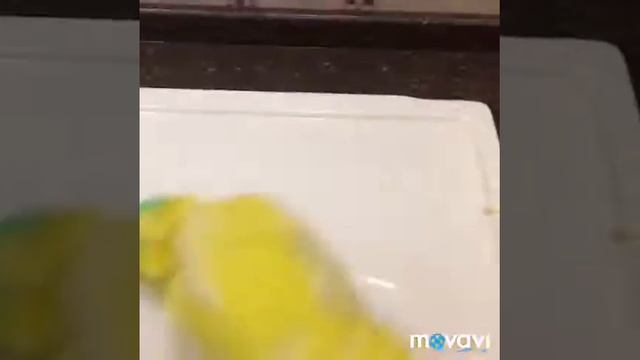 Средство для чистки плит, духовой, грилей от жира - ЛАЙМА PROF смотреть онлайн