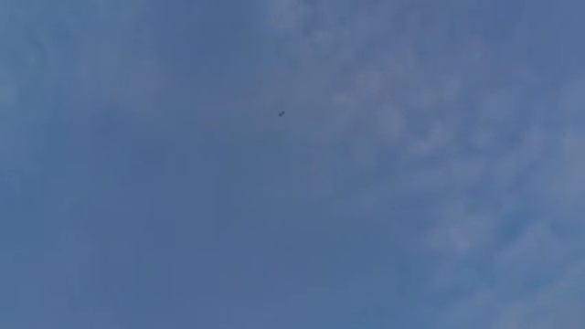 Whoops смотреть онлайн