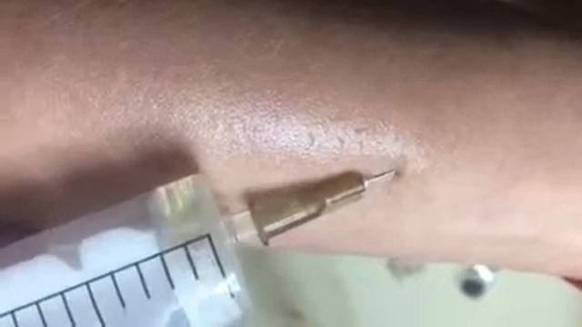 Эксперимент Algeness смотреть онлайн