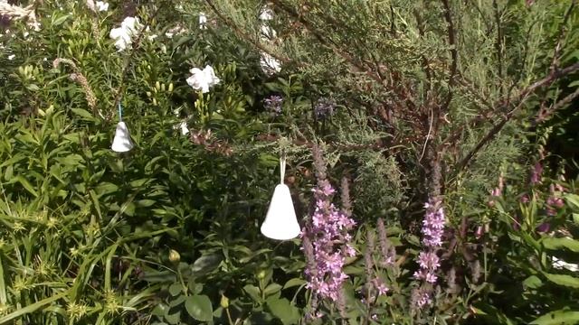 Обзор цветников. Лес цветов .Природный стиль.( Часть 1) смотреть онлайн