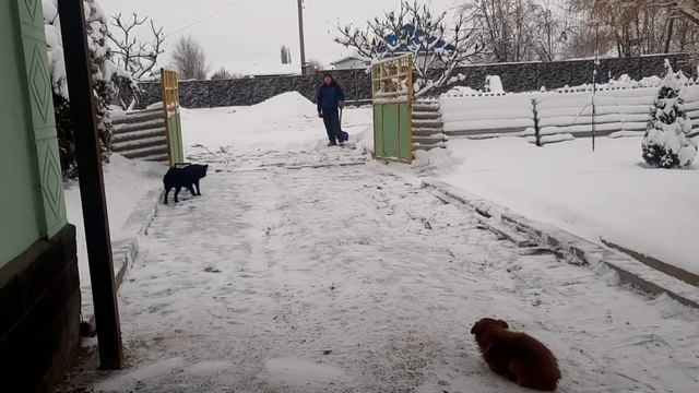 Глухих - Уборка снег и комментарии @Iamdeaf смотреть онлайн