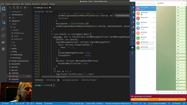 GoLang #162 - telegram-shunt - исследование задержки системного сообщения смотреть онлайн