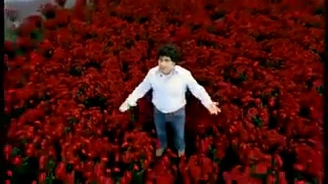 1000 Алых роз