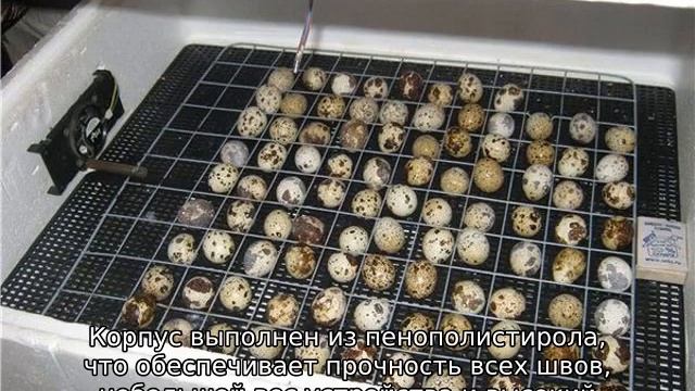 Инкубатор Идеальная наседка смотреть онлайн