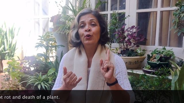 Gardening 101 | Do's & Don'ts - Winter Care of Plants | सर्दियों के पौधे - क्या करें क्या न करें смотреть онлайн