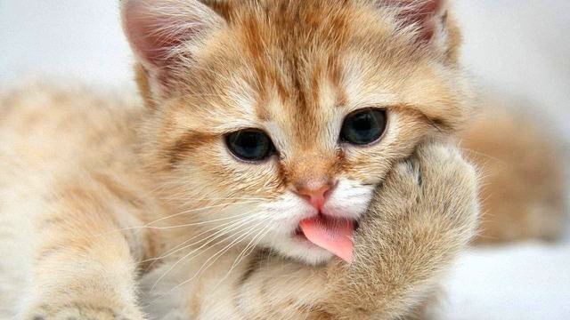 Музыка для фигурного катания. От этой музыки где-то...