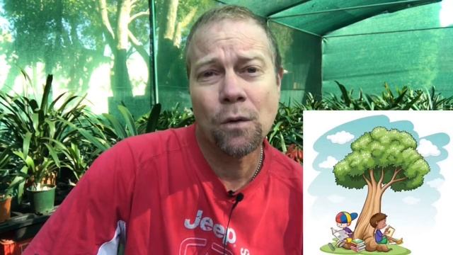 7 reasons why you MUST have Clivia plants!!! смотреть онлайн