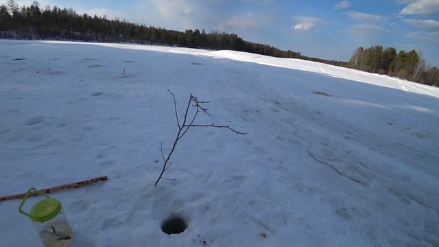 РЫБАЛКА В СИБИРИ В ХМАО НА ЩУК