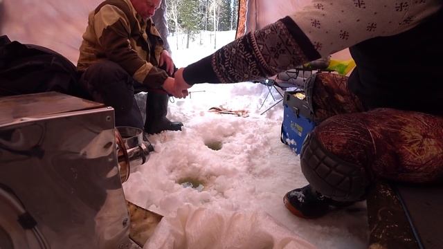 Началось! Весенний жор окуня и сороги! Рыбалка на таёжных местах. 1 часть. смотреть онлайн