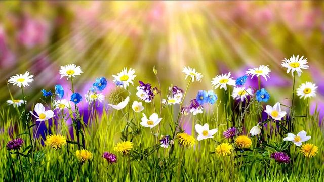 ⏰Медитация аффирмация «Волшебный сказочный заряженный день» смотреть онлайн