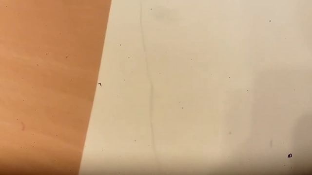 Как нарисовать гитару. Уроки рисование смотреть онлайн